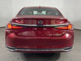 Used 2022 Lexus ES 250 w/ Premium Package image 6
