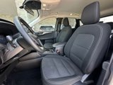 Used 2023 Ford Escape Active w/ Cold Weather Package image 4