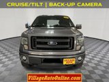 Used 2013 Ford F150 FX4 image 6