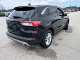 Used 2021 Ford Escape SE w/ Convenience Package image 4