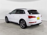 Used 2019 Audi Q5 2.0T Premium Plus w/ Premium Plus Package image 3