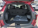 New 2025 GMC Terrain Elevation image 6