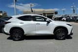 Used 2024 Lexus NX 250 FWD image 3