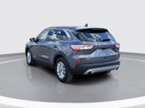Certified 2022 Ford Escape SE w/ Convenience Package image 3