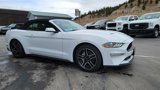 Used 2023 Ford Mustang Premium image 5