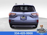 Used 2022 Ford Escape SE w/ Cold Weather Package image 4