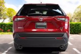 Used 2019 Toyota RAV4 XLE Premium image 6