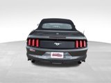 Used 2017 Ford Mustang Premium image 6
