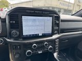 Used 2021 Ford F150 XLT w/ Equipment Group 302A High image 4