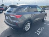 Used 2022 Ford Escape SE w/ Cold Weather Package image 5