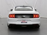 Used 2019 Ford Mustang Premium w/ Equipment Group 201A image 6