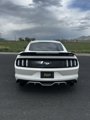 Used 2017 Ford Mustang Premium w/ Ecoboost Performance Package image 5