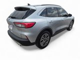 Used 2020 Ford Escape SEL image 4
