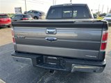Used 2012 Ford F150 4x4 SuperCrew image 5