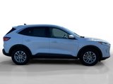 Used 2021 Ford Escape SE image 6