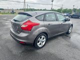 Used 2014 Ford Focus SE w/ SE Winter Package image 6
