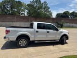 Used 2014 Ford F150 XLT w/ Equipment Group 302A Luxury image 5