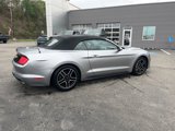 Used 2020 Ford Mustang GT Premium image 3