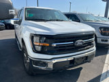 New 2025 Ford F150 XLT w/ Equipment Group 302A MID image 2
