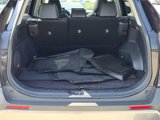 Used 2019 Toyota RAV4 Limited image 5