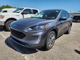 Used 2022 Ford Escape SEL w/ Technology Package image 3