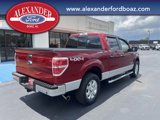 Used 2013 Ford F150 XLT w/ Luxury Equipment Group image 4