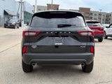 New 2025 Ford Escape ST-Line w/ Cold Weather Package image 5