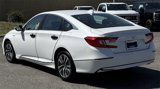 Used 2019 Honda Accord EX image 4