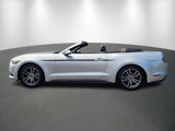 Used 2017 Ford Mustang Premium image 4