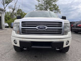 Used 2009 Ford F150 Platinum image 2