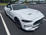 Used 2023 Ford Mustang Premium image 2