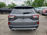 Used 2022 Ford Escape SE w/ Cold Weather Package image 4