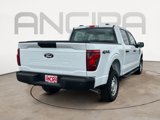 New 2025 Ford F150 XL image 2