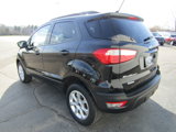 Used 2020 Ford EcoSport SE image 5
