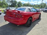 Used 1997 Ford Mustang Cobra image 3