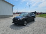 Used 2021 Ford Escape SE w/ Convenience Package image 2