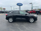 Used 2020 Ford Escape SE image 2