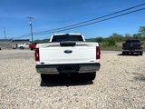 Used 2021 Ford F150 XLT w/ Equipment Group 301A Mid image 5