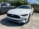 Used 2019 Ford Mustang Coupe w/ Equipment Group 101A image 4