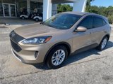 Used 2020 Ford Escape SE image 2