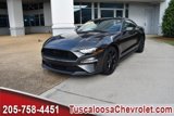 Used 2019 Ford Mustang Coupe w/ Equipment Group 101A image 4