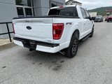 Used 2023 Ford F150 XLT image 3
