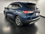 Used 2020 Ford Escape SEL image 5