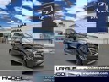 View Video