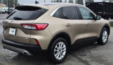 Used 2020 Ford Escape SE image 5