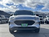 Used 2022 Ford Escape SE w/ Cold Weather Package image 5