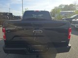 Used 2019 Ford F150 XL w/ Equipment Group 101A Mid image 5