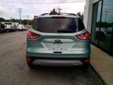 Used 2013 Ford Escape Titanium image 6