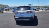 Certified 2020 Ford Escape SE image 5