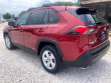 Used 2019 Toyota RAV4 XLE image 5